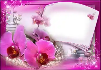 照片效果分类 女性相框 № 205399 照片效果分类 女性相框 № 205399