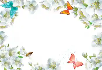 照片效果分类 女性相框 № 205423 照片效果分类 女性相框 № 205423