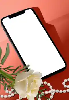 照片效果分类 女性相框 № 205752 照片效果分类 女性相框 № 205752