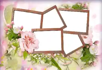 照片效果分类 女性相框 № 205762 照片效果分类 女性相框 № 205762