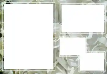 照片效果分类 女性相框 № 205789 照片效果分类 女性相框 № 205789