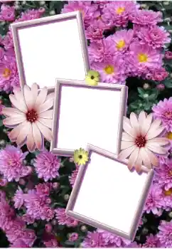 照片效果分类 女性相框 № 205803 照片效果分类 女性相框 № 205803