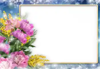 照片效果分类 女性相框 № 205831