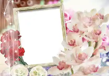 照片效果分类 女性相框 № 205 照片效果分类 女性相框 № 205