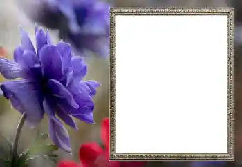 照片效果分类 女性相框 № 206189