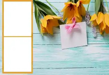 照片效果分类 女性相框 № 206196