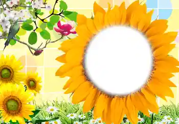 照片效果分类 女性相框 № 212 照片效果分类 女性相框 № 212