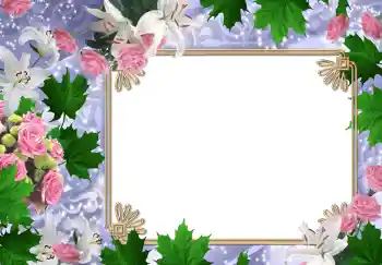 照片效果分类 女性相框 № 215