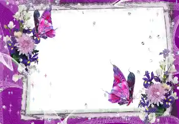 照片效果分类 女性相框 № 2162