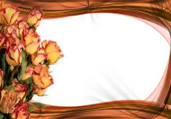 照片效果分类 女性相框 № 2170
