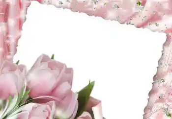 照片效果分类 女性相框 № 2171