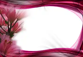 照片效果分类 女性相框 № 2172 照片效果分类 女性相框 № 2172