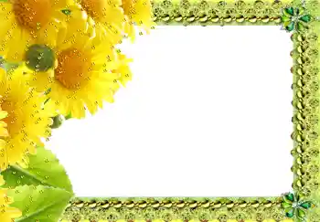 照片效果分类 女性相框 № 217