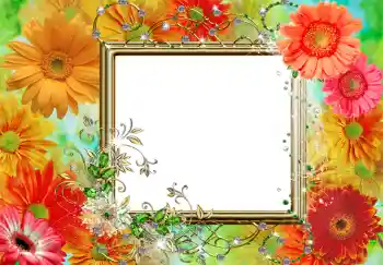 照片效果分类 女性相框 № 219