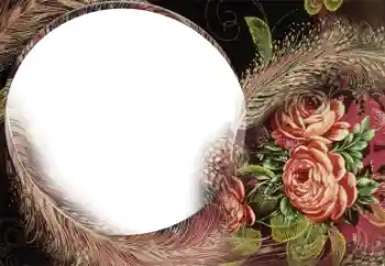 照片效果分类 女性相框 № 22185 照片效果分类 女性相框 № 22185