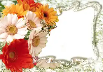 照片效果分类 女性相框 № 224 照片效果分类 女性相框 № 224