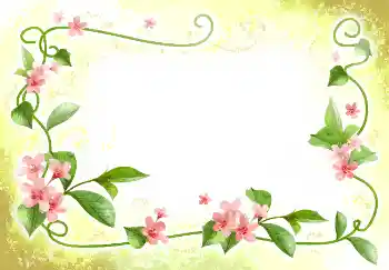 照片效果分类 女性相框 № 2398