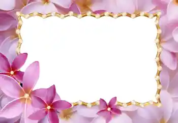 照片效果分类 女性相框 № 24214 照片效果分类 女性相框 № 24214