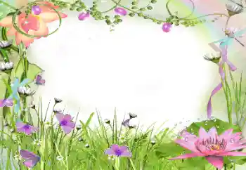 照片效果分类 女性相框 № 24240 照片效果分类 女性相框 № 24240