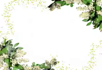 照片效果分类 女性相框 № 24247 照片效果分类 女性相框 № 24247