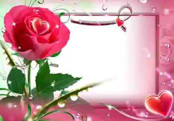 照片效果分类 女性相框 № 243 照片效果分类 女性相框 № 243