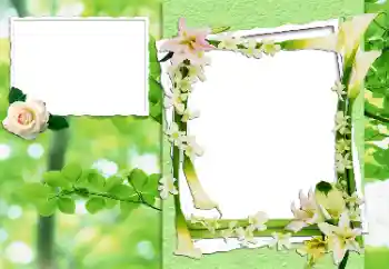 照片效果分类 女性相框 № 24444 照片效果分类 女性相框 № 24444