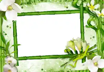照片效果分类 女性相框 № 24470
