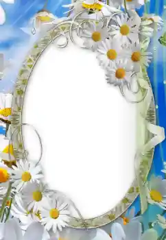 照片效果分类 女性相框 № 24499