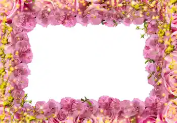 照片效果分类 女性相框 № 244 照片效果分类 女性相框 № 244