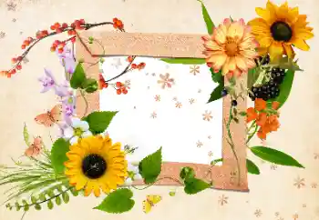 照片效果分类 女性相框 № 24511