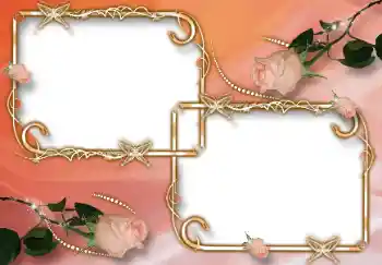 照片效果分类 女性相框 № 24519