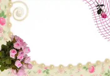 照片效果分类 女性相框 № 24536
