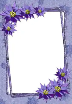 照片效果分类 女性相框 № 24551
