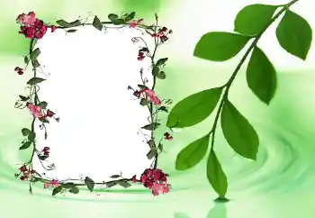 照片效果分类 女性相框 № 24558