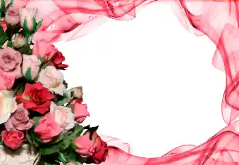 照片效果分类 女性相框 № 26416