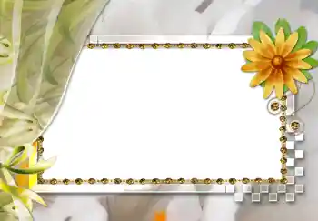 照片效果分类 女性相框 № 264