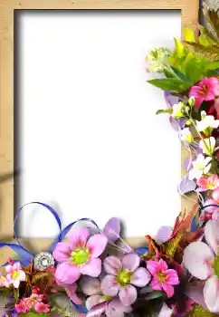 照片效果分类 女性相框 № 26628
