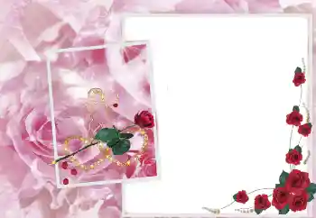照片效果分类 女性相框 № 2697 照片效果分类 女性相框 № 2697