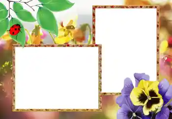 照片效果分类 女性相框 № 273
