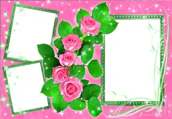 照片效果分类 女性相框 № 275