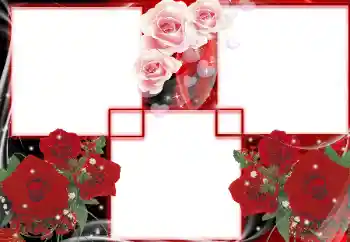 照片效果分类 女性相框 № 27699