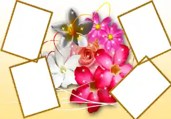 照片效果分类 女性相框 № 276
