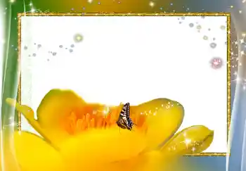 照片效果分类 女性相框 № 278