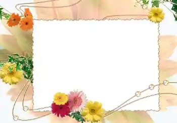 照片效果分类 女性相框 № 281