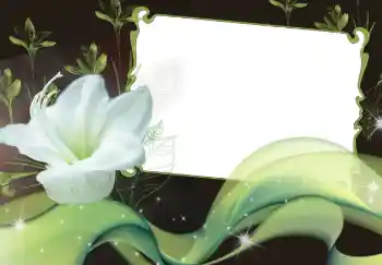 照片效果分类 女性相框 № 2920