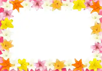 照片效果分类 女性相框 № 2989