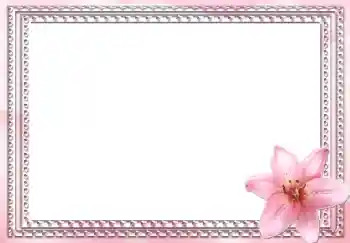 照片效果分类 女性相框 № 2991