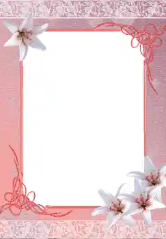 照片效果分类 女性相框 № 3153