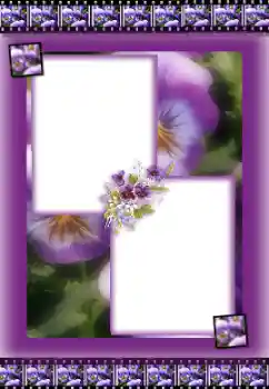 照片效果分类 女性相框 № 31706