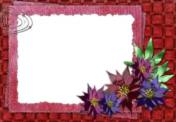 照片效果分类 女性相框 № 31724
